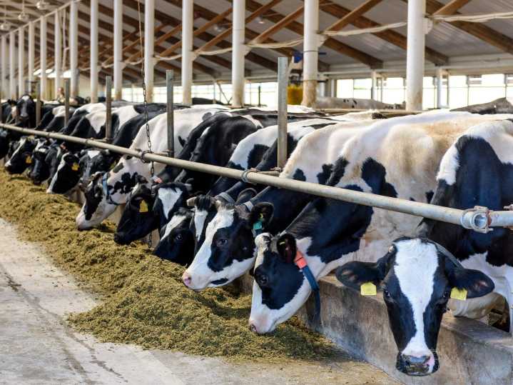 Farmgate: Dairy Farmers of Ontario show generosity during holidays