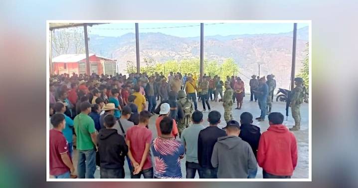 Campesinos de 66 comunidades de la Sierra de Guerrero retoman la siembra de amapola tras retiro de Sembrando Vida; acuerdan impedir destrucción de cultivos por el Ejército, se arman ante el avance del