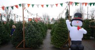 Sean of the South: The Christmas tree lot