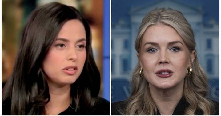 Mom of Karoline Leavitt’s Nephew Torches Her on CNN: ‘Why Lie?’