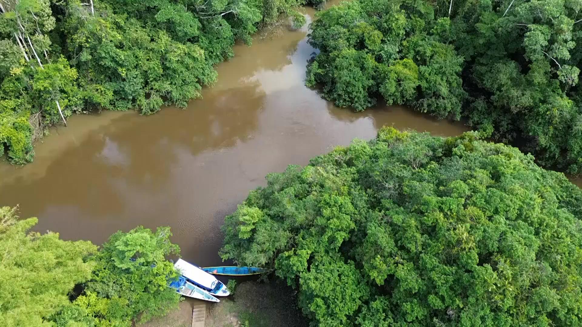 Colombian environmental activist finds ways to protect the Amazon despite threats, armed groups