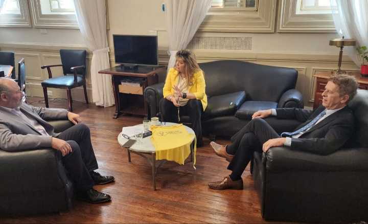 Estrellas Amarillas alertó sobre el "grave" aumento de accidentes en la Ruta 5