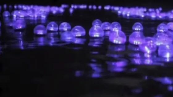 El día que una campaña navideña desmovilizó a 200 guerrilleros