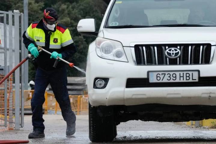Cataluña aprueba sacrificar a 30.000 cerdos de las 39 granjas cercanas al foco de la peste porcina