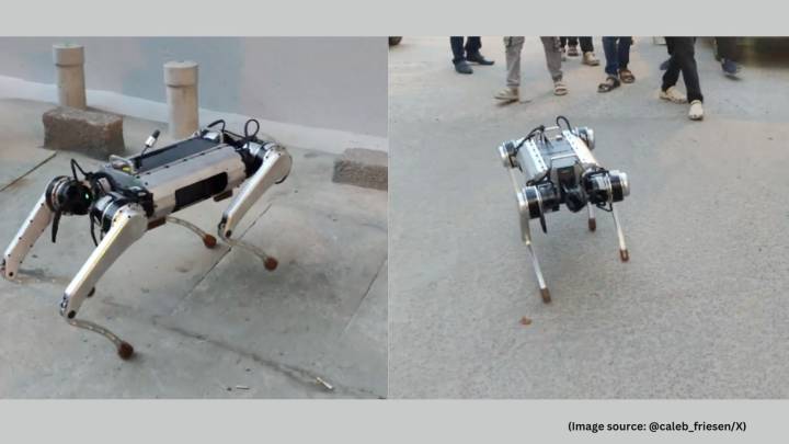 ‘India is waking up to its potential’: Robot dog walks down Bengaluru street, stuns locals; watch video