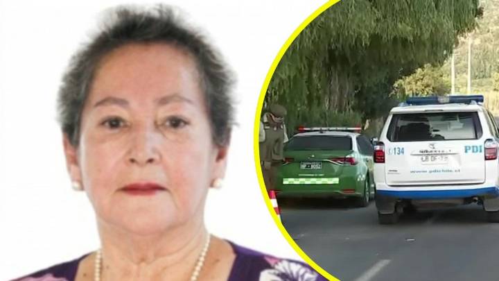 Ocho puntos clave: Así avanza la búsqueda de la concejala desaparecida en Villa Alegre