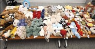 No fluffy outcome for suspect in Kitchener Jellycat thefts