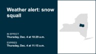 NY weather: Weather alert issued for snow squall in part of New York Thursday midday