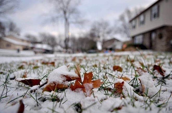 Leaf pickup programs suspended due to snowfall