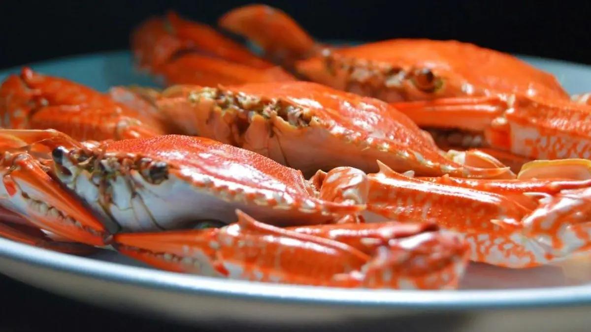 Nada es lo que parece: Cuál es la diferencia entre cangrejo y jaiba