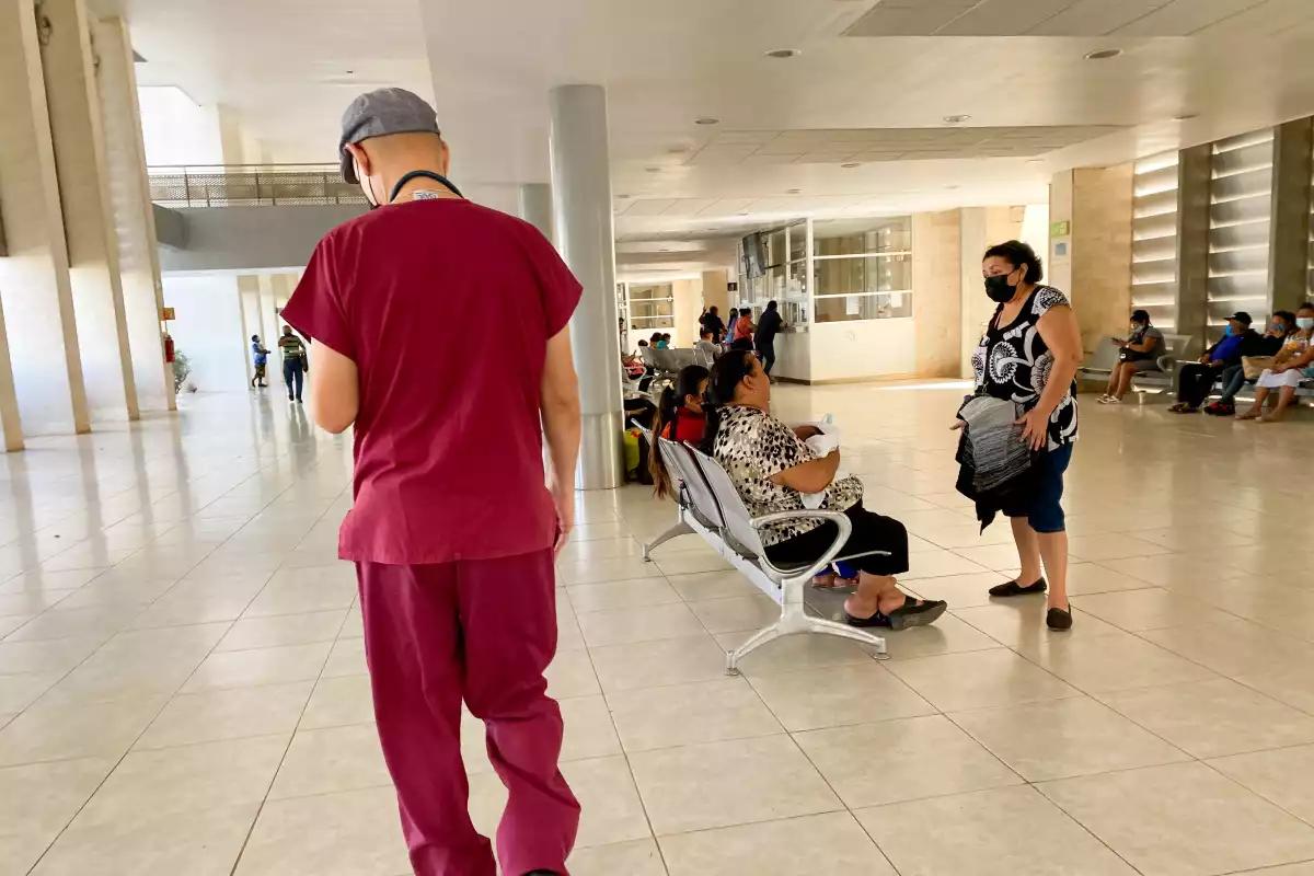 Chinkungunya en Yucatán: Qué es, cómo se contagia y cuáles son los síntomas