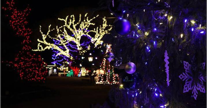 Christmas at Schnepf Farms Returns with Its Biggest Holiday Experience Yet for 2025