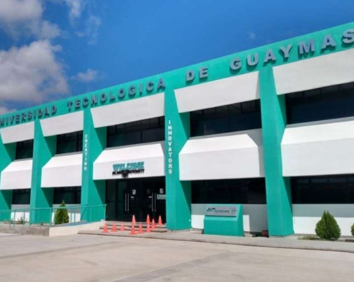 Imparables ladrones en Guaymas