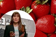 De Shark Tank a sospechosa de homicidio: el oscuro giro en la vida de Zulma Guzmán