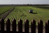 Trump aprueba un rescate de 12.000 millones de dólares para los agricultores golpeados por los aranceles