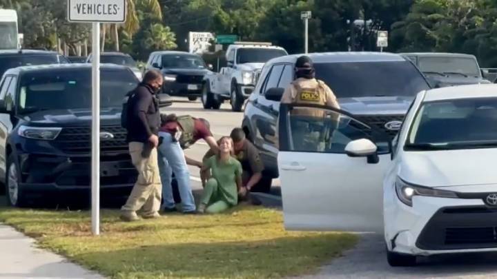 'Why are you doing this to me?' Florida woman screams as federal agents drag her from car