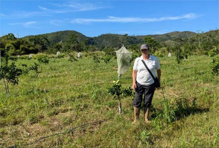 La citricultura en Carabobo y Yaracuy, entre la esperanza y el riesgo de repetir una tragedia