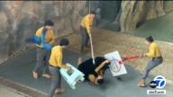 Bear attacks handler in harrowing incident caught on video at wildlife park in China