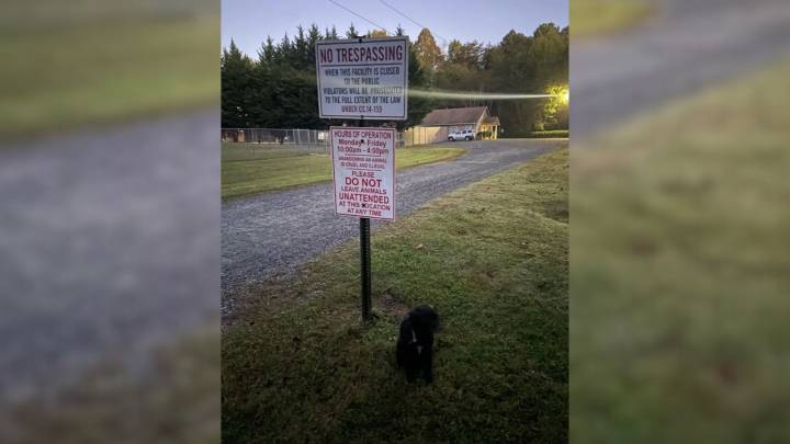 North Carolina Rescuers Begin Their Morning And Discover A Frightened Pup Tied To A Warning Sign