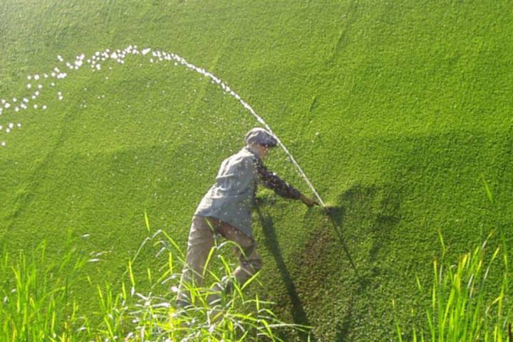 Leyenda popular. La historia del niño de los Países Bajos que evitó que su país se inundara al tapar con su dedo un agujero de un dique