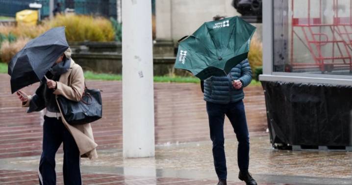 Storm Bram wreaks havoc: Everything you need to know from fallen trees to cancelled flights