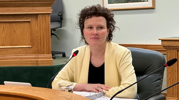 Auditor warns Sask. may not meet target for child