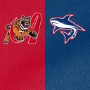 Resumen Tigres vs Tiburones 10/12/25