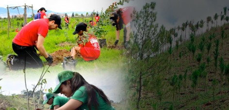 Avances en reforestación y gestión forestal en Colombia