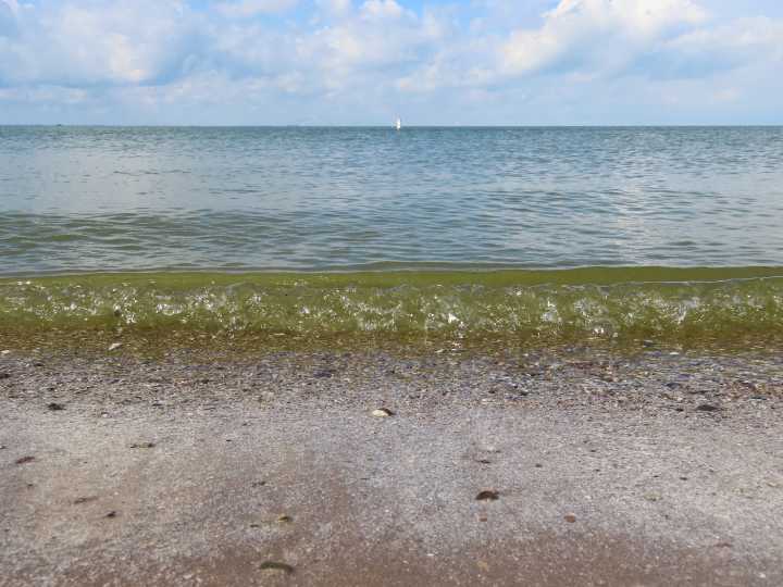It was mild bloom year on Lake Erie, but upstream challenges persist