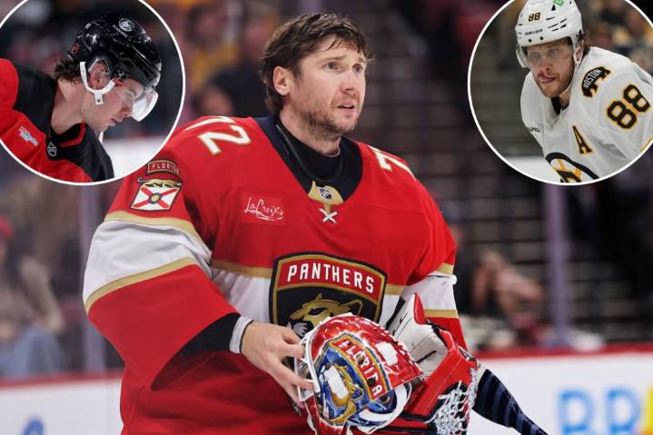 NHL odds, prediction: Who we're backing and fading to make the playoffs