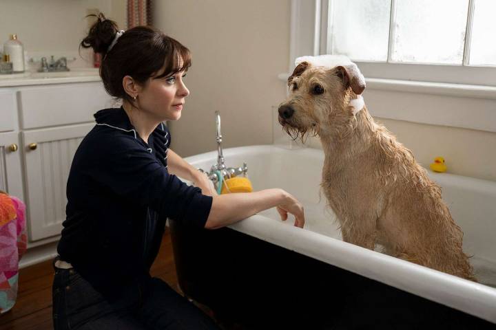 Zooey Deschanel Shares What It’s Really Like to Work With a Dog (Exclusive)