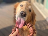 Shoppers Say This X-Large $10 Dog Toy Is ‘A Winner for Heavy Chewers’