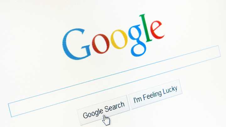 Palabras más buscadas en Google en 2025: ¿por qué la mariposa monarca ha entrado en el top ten? El dato por el que un término entra en esta famosa lista