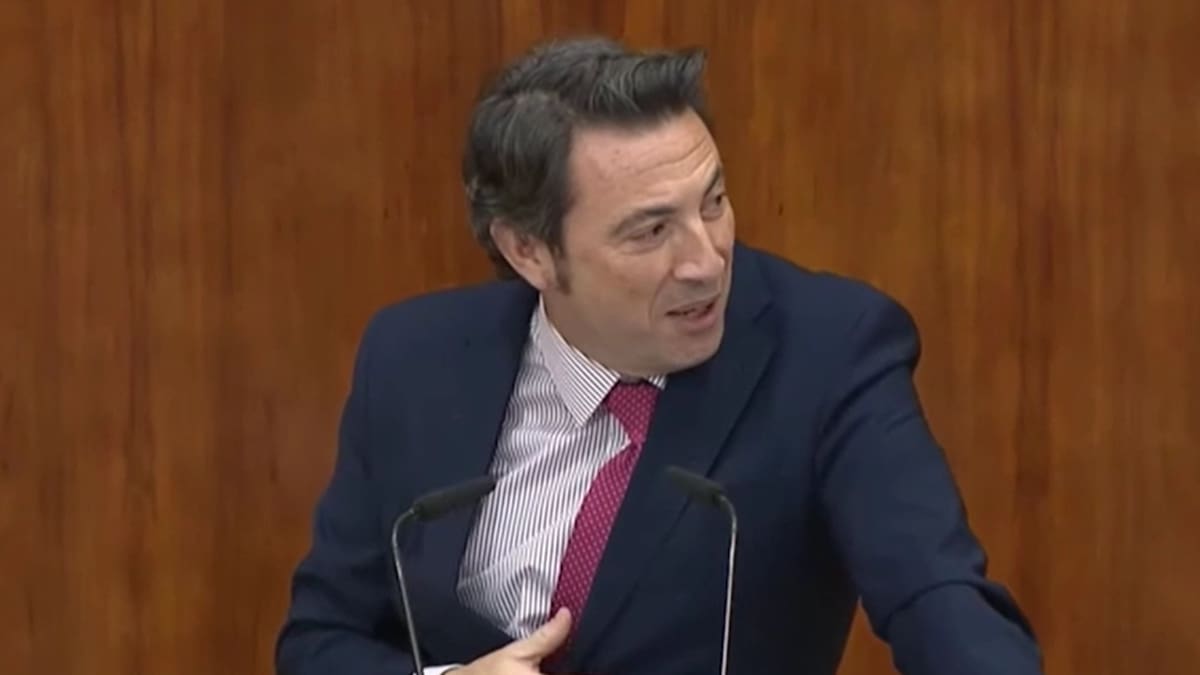 El portavoz de Hacienda de Ayuso, a las diputadas de Más Madrid: "Verles así me pone"