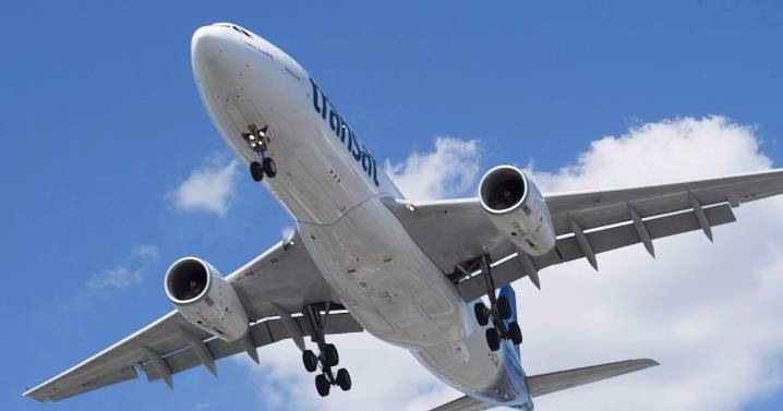BREAKING NEWS: Air Transat announces new flight cancellations as talks with union continue
