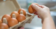 Anyone buying supermarket eggs urged to check 1 thing on boxes