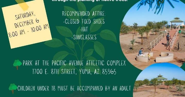 Volunteers wanted for East Wetlands tree planting