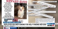 Deployed solider pleads for help finding her dog