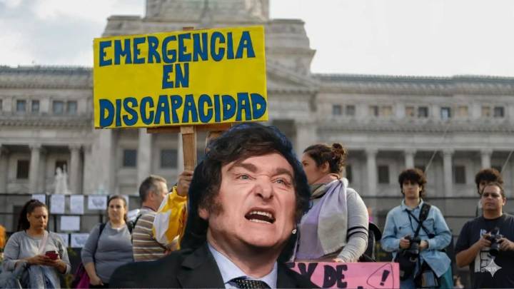 Las razones por las que la Justicia ordenó aplicar de inmediato la Emergencia en Discapacidad