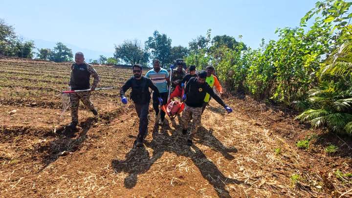 Pune: Leopard Rescued From Fencing Wire Near Mulshi; Shifted To RESQ Wildlife Transit Treatment Centre