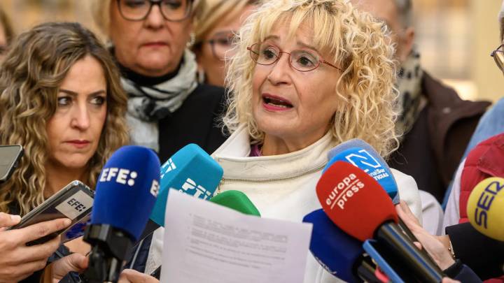 La Fiscalía archiva la denuncia de Amama por el supuesto borrado de pruebas al creer que la "avalancha de peticiones" saturó el sistema