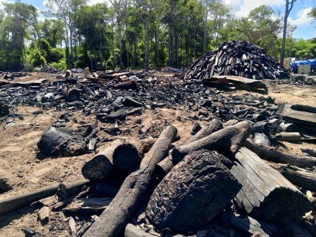 Decomisan más de 13 toneladas de carbón vegetal procesado ilegalmente en el estado Miranda