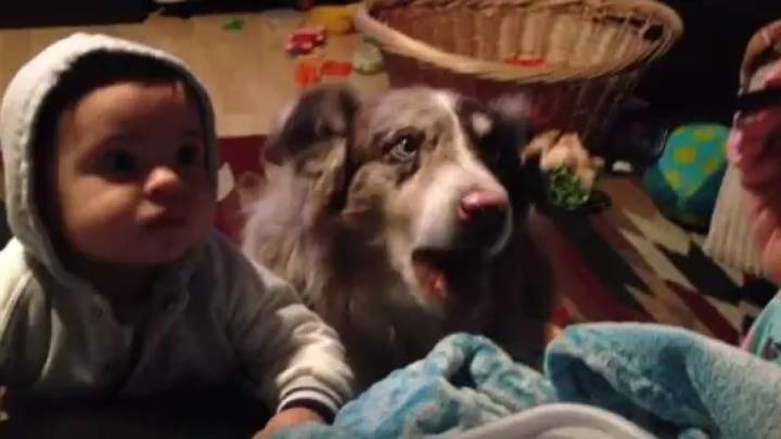 Una mujer intenta que su hijo aprenda a decir "mamá", pero su perro se adelanta