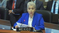 México defiende en la OEA el asilo a la exprimera ministra de Perú, Betssy Chávez