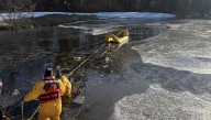 Firefighters rescue dog after it falls through thin ice