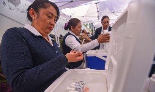 México no registra casos de influenza A H3N2 subclado K, confirma el gobierno