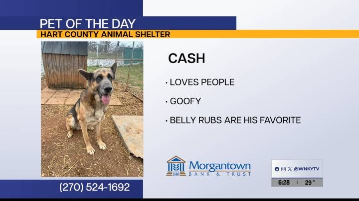 Pet of the Day: Cash