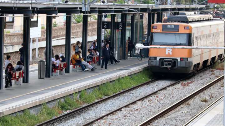 Retrasos en Rodalies tras hallarse un jabalí muerto en la estación de Cerdanyola del Vallès en plena crisis de peste porcina