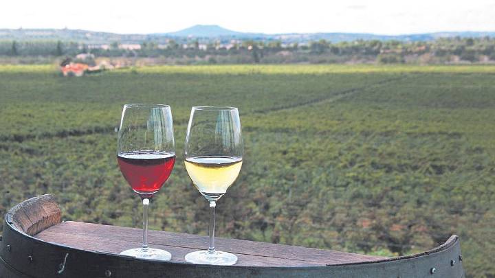 Asturias pone una pica en Rioja: los vinos que hace un conocido elaborador de sidra y que logran el oro entre la crítica gastronómica en Suiza