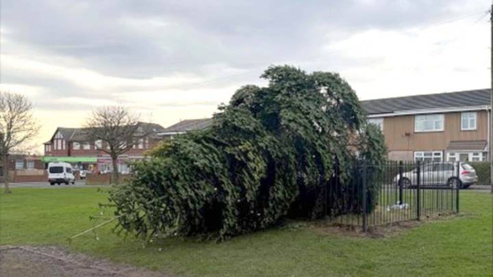Two men arrested after Christmas tree cut down hours after lights switch